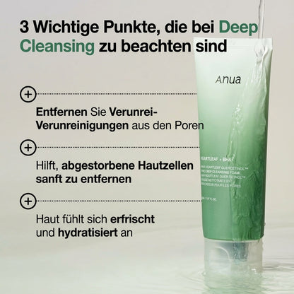 Heartleaf Quercetinol Pore Deep Cleansing Foam